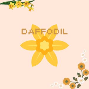 Daffodil