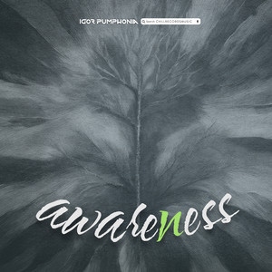 Awareness (Original Mix)