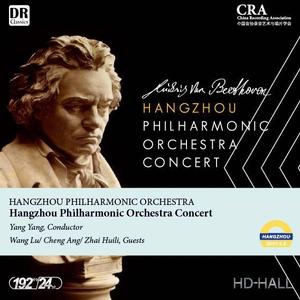 Symphony No 7 in A major, Op.92:II. Allegretto