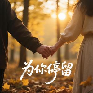 为你停留