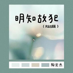 明知故犯 (R&B版)