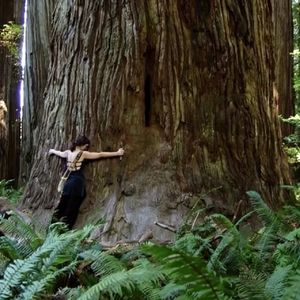 不死在亚洲岛屿｜Şeven Seaş†