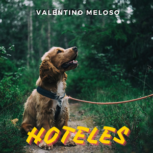 hoteles