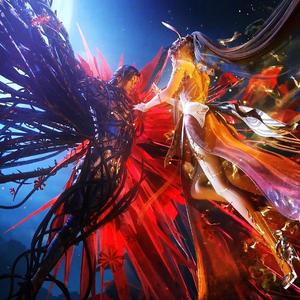 不舍-温柔男版《斗罗大陆动画片尾曲》（cover：徐佳莹）（翻自 群星）