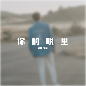 你的眼里【混音】