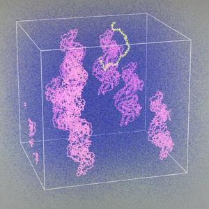 为什么 （please tell me why）