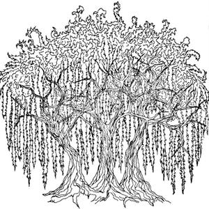 when lifetime runs dry