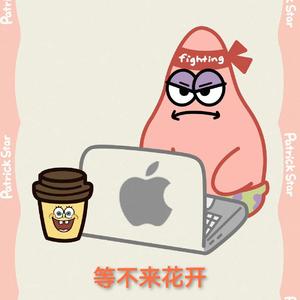 等不来花开（DJAh双版）