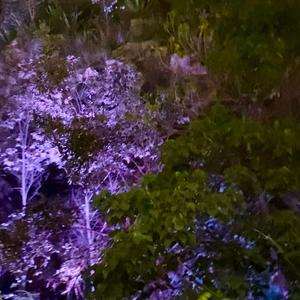 Perfect (feat. Numair, Yahfs, mantra! & Topix)