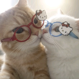 “下雨” 伤感 × 街头旋律 × 钢琴 trap type beat