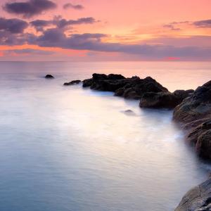 marshal of a stock car race