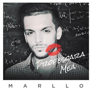 Profesoara mea (Zzaio Respect MJ Twerk Remix)