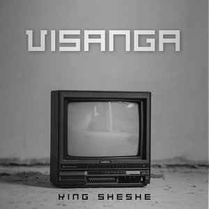 Visanga