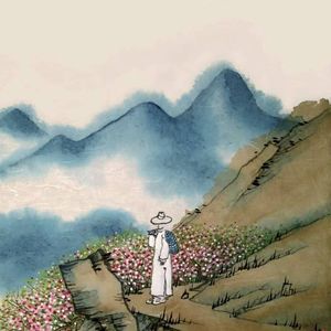 一只候鸟的旅程