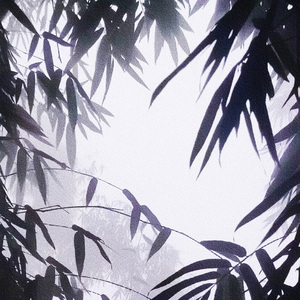 雁江