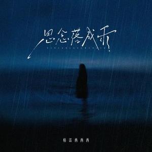 思念落成雨 (DJ版)0.8x降调版