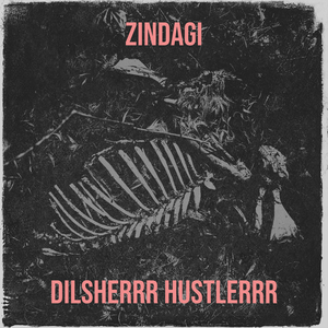 Zindagi