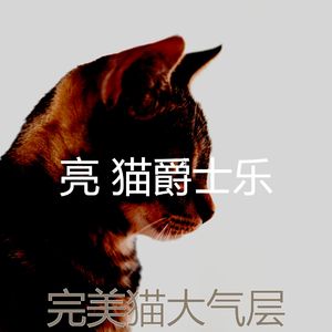 温和小猫梦想