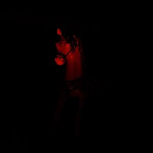 The Dark Dream of a Hikikomori (MDD with SI)