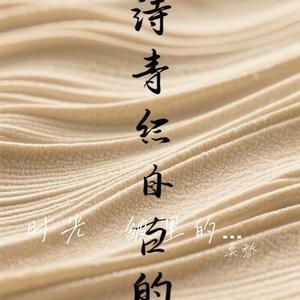 时光褶皱里的诗行