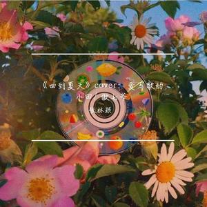 回到夏天（翻自 爱写歌的小田）