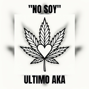 No Soy