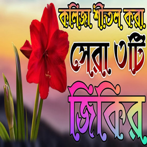 কলিজা শীতল করা মায়াবী কন্ঠে সেরা জিকির একবার শুনুন ভালো লাগবে ইনশা আল্লাহ