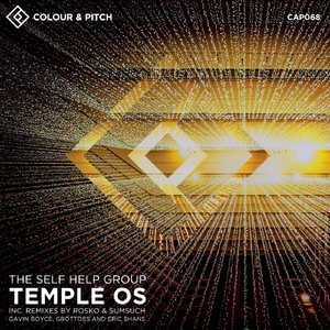 Temple OS (Rosko & Sumsuch Remix Instrumental)