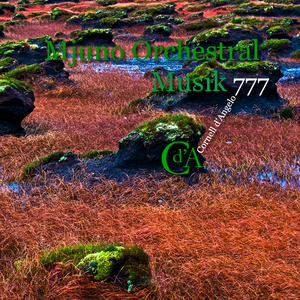 Mjuno Orchestral Musik 777