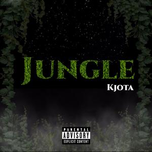 Jungle (feat. Drykoboy)
