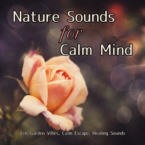 熟睡ギターBGM 睡眠の質を高めるヒーリング音楽 (自律神経を整える睡眠用 森 鳥)