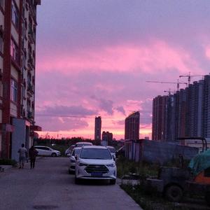 来不及（翻自 沈以诚）