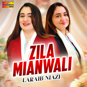Zila Mianwali