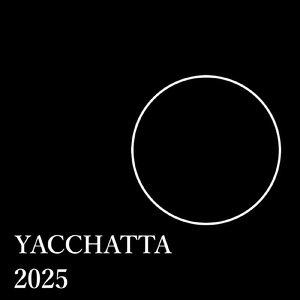 やっちゃった2025