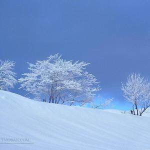 灵灵 - 记得爱我_15_1