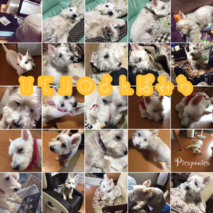 ひとりのさんぽみち