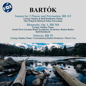 Rhapsody, Op. 1, BB 36b