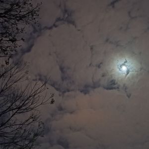 音频提取_125339_track0 (1)