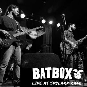 If I Could Stand (Live)