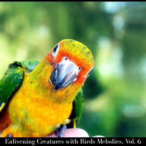 Hooting Owl and Stillness