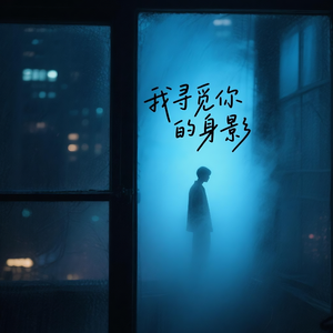 我寻觅你的身影