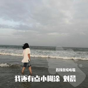 我还有点小糊涂 刘晨