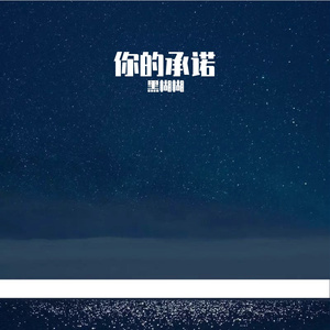 你的承诺_175220_175256