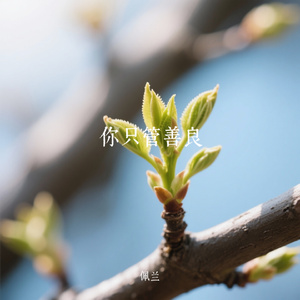 你只管善良