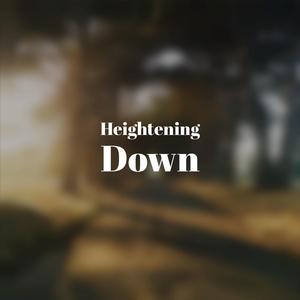 Earphones Connoisseur