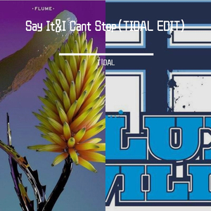 Flume-Say It&I Cant Stop(TIDAL EDIT)（T!DAL remix）