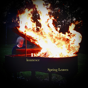 Spring Leaves