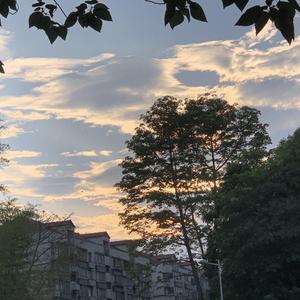 把回忆拼好给你