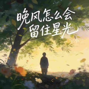 晚风怎么会留住星光