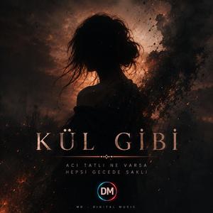Kül Gibi